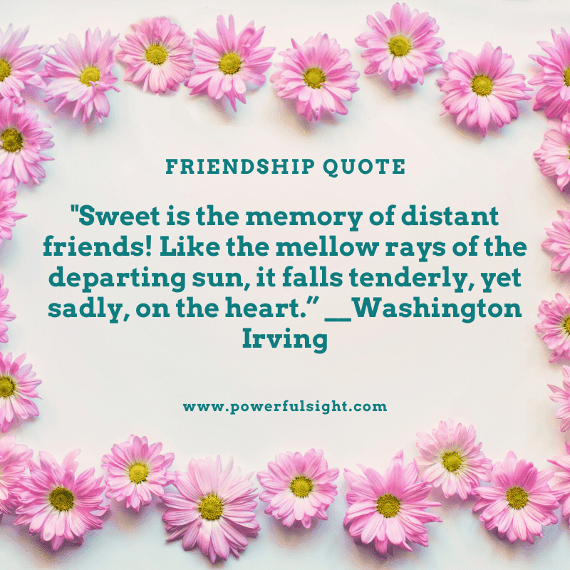 Friendship quote by Washington Irving.