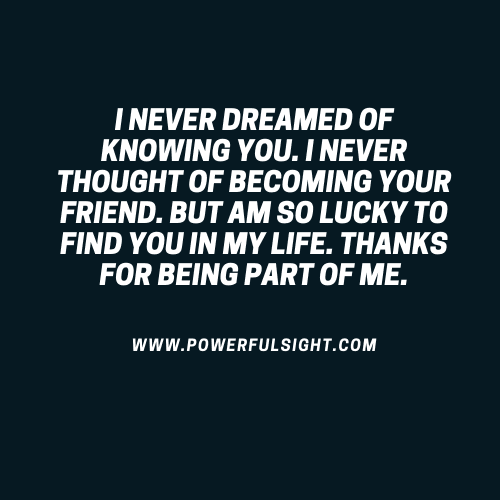 I never dreamed of knowing you