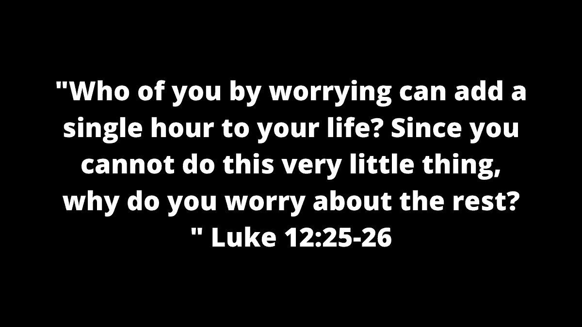 Quote about life and struggles